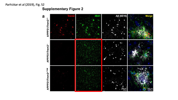 Error-Parhizkar-et-al-2019-600_2