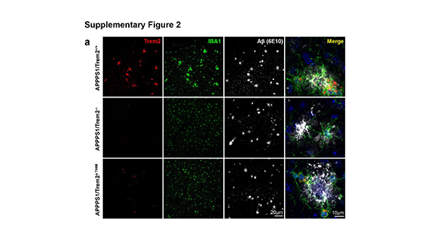 Parhizkar-et-al-2019-S2a-corrected-600_2