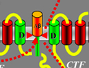 Schematic representation of APP processing by beta- and gamma-secretase