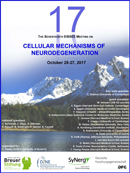 Eibsee Meeting 2017