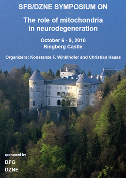 Poster of the 2010 Ringberg Symposium