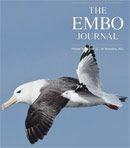 embo_journal_vogel