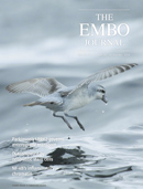 Embo Journal Cover