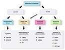 Etiology of Parkinson’s Disease (PD).