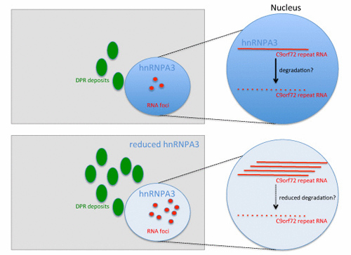 graphic-1-mori-embo-reports-500